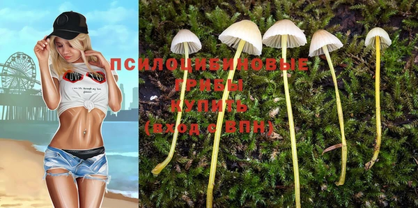 стафф Алексеевка