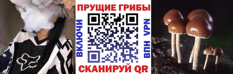 Псилоцибиновые грибы Magic Shrooms  Отрадная 